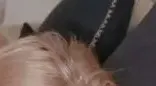 Ariel X and Audrey Madison - lesbian - blonde - BBW - close ups - face sitting - fingering - lingerie - masturbation - mature - seduction - Submissiv*X - Lesbian Hookup Service